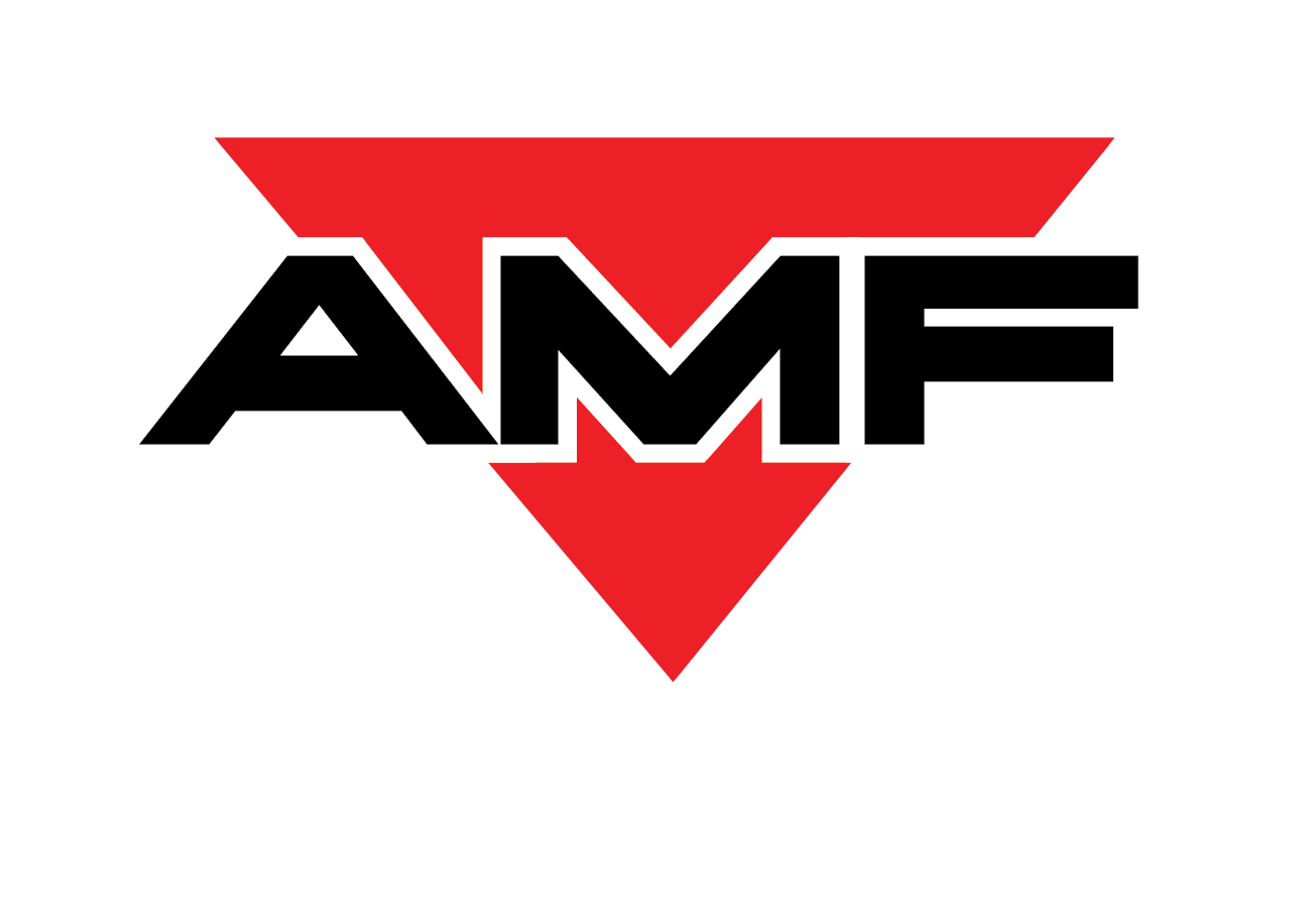 Angular Logo